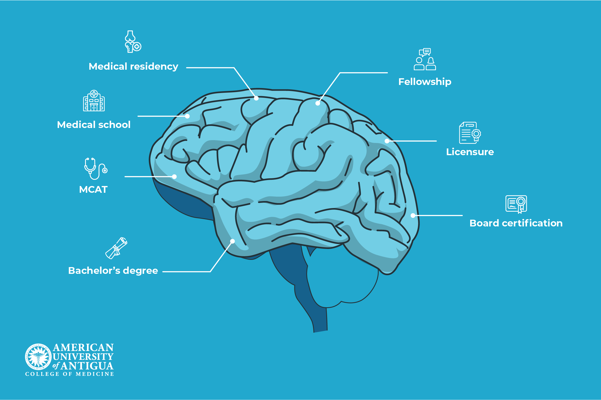 How Many Years To Become A Neuro Ophthalmologist